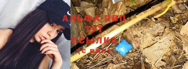 mdpv Рославль